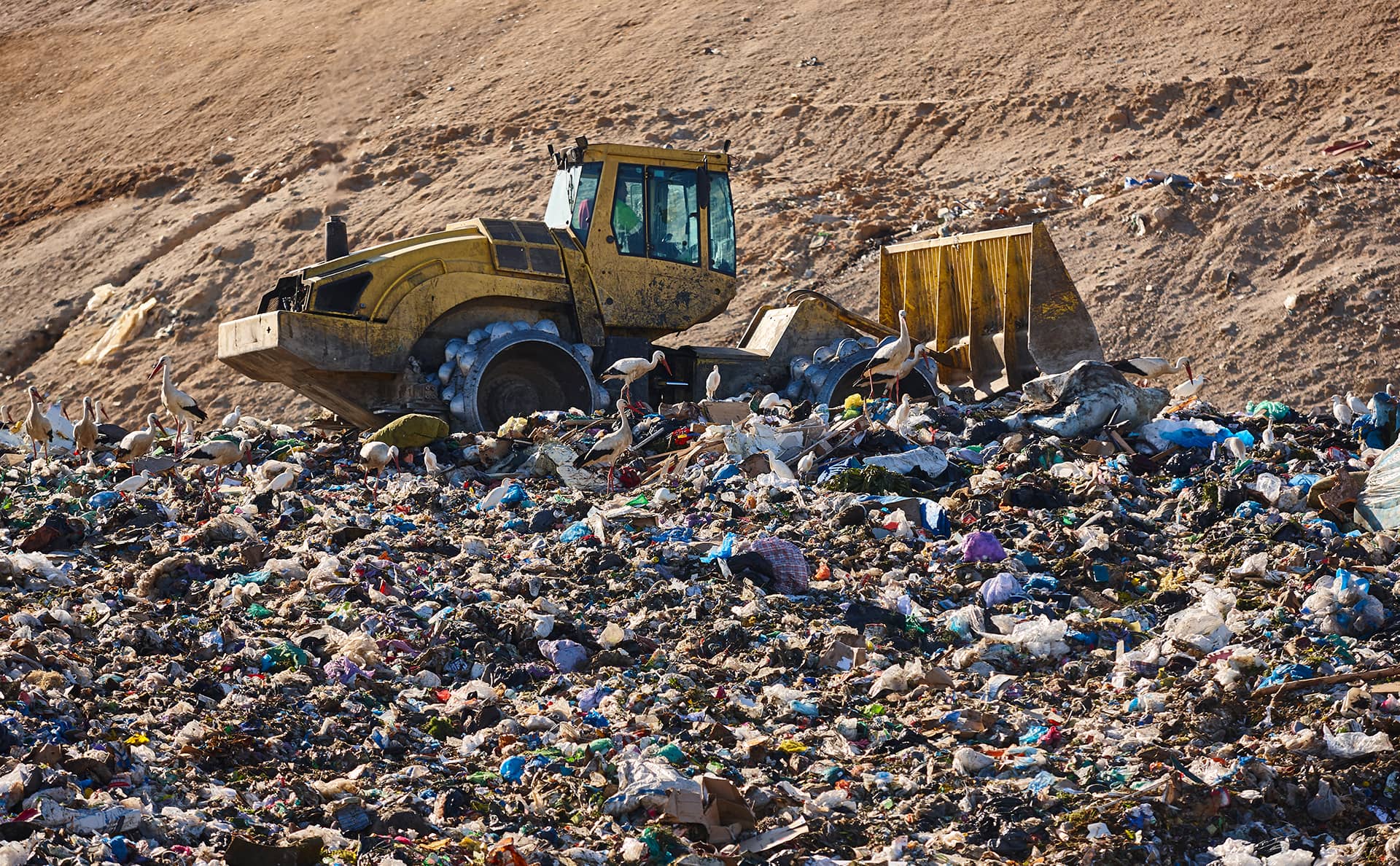 WASTE ACT SAMPLE ANALYSIS