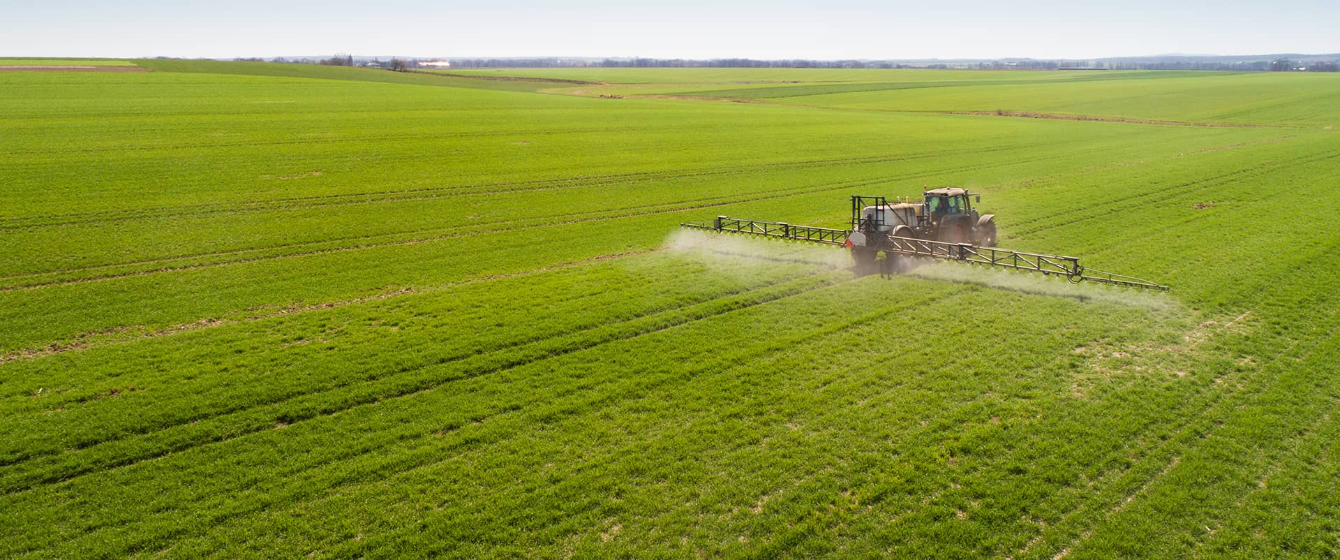 PESTICIDE ANALYSIS IN FOOD AND THE ENVIRONMENT
